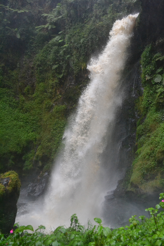 Trusted car hire company for Nyungwe National Park