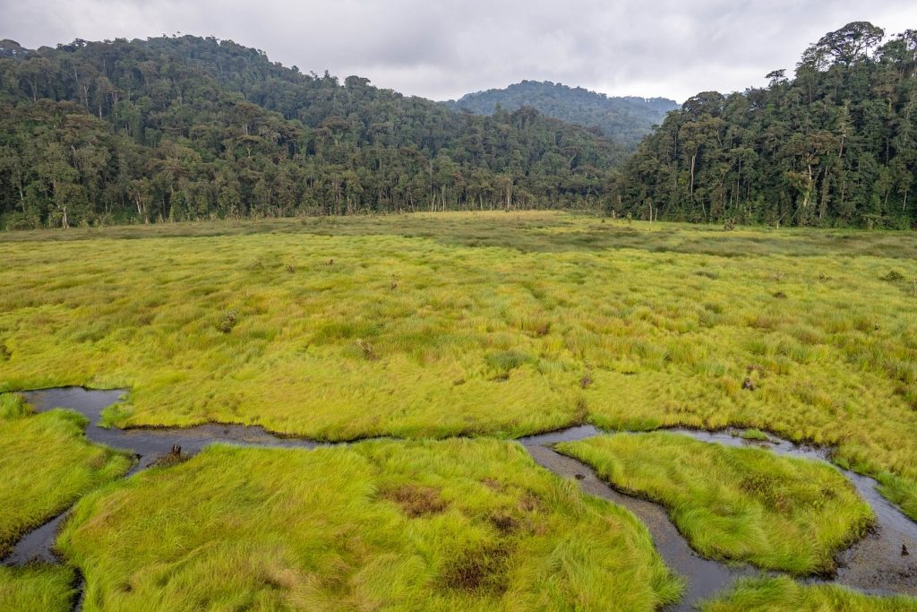 Nyungwe National Park transfer and car rental services