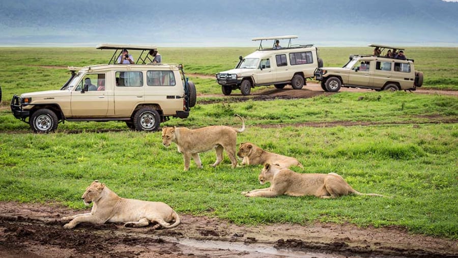 Roof-tent car hire Rwanda