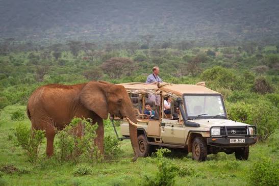 Self-drive roof-tent car hire Kenya