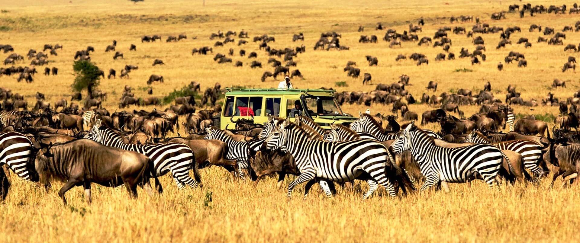 car rentals with GPS in Rwanda