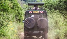 Road Trips in Rwanda