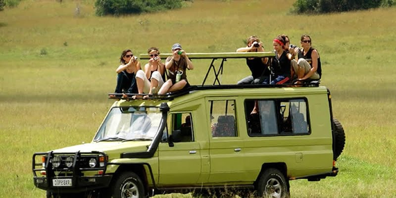 East Africa driver-guided safari car rental services