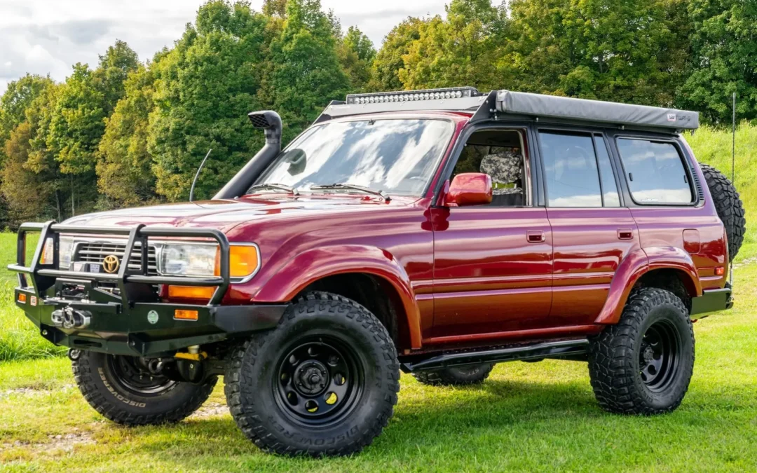 Self-drive car hire to Uganda National Parks