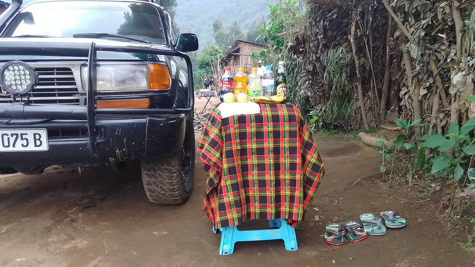 Car hire for Nyungwe canopy walkway adventure