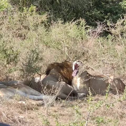 Trusted car hire company for Akagera National Park tours