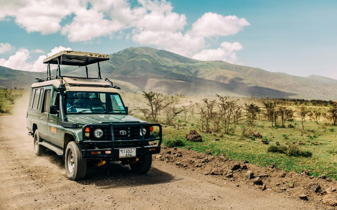 Self-drive Rwanda car hire for Akagera game viewing