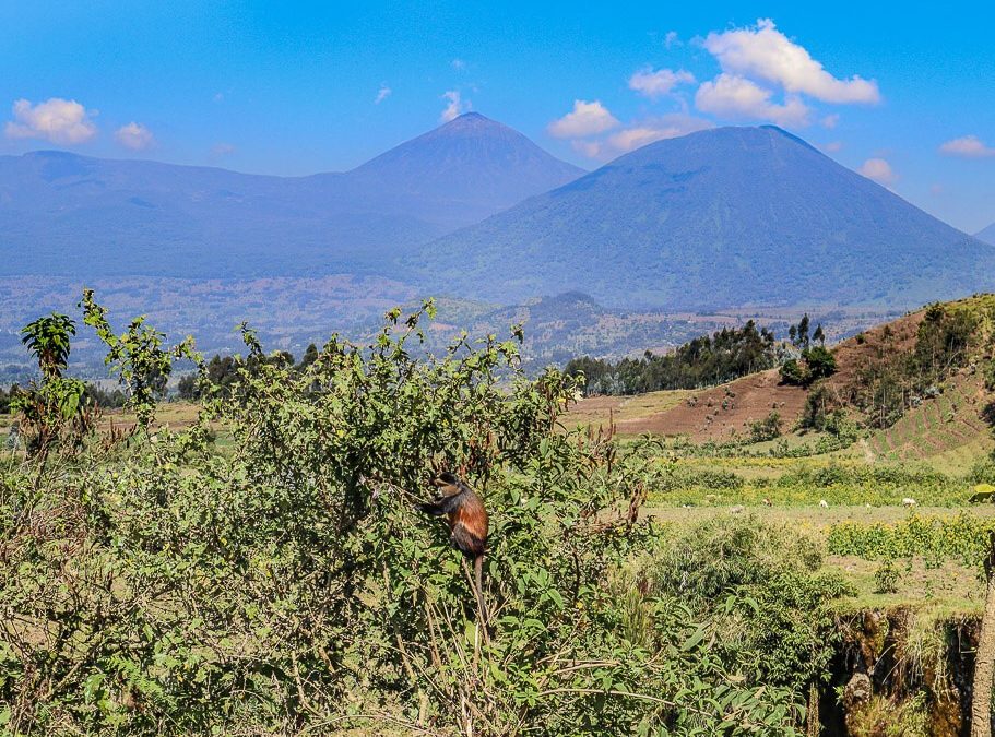 Rent a car with driver to Volcanoes National Park