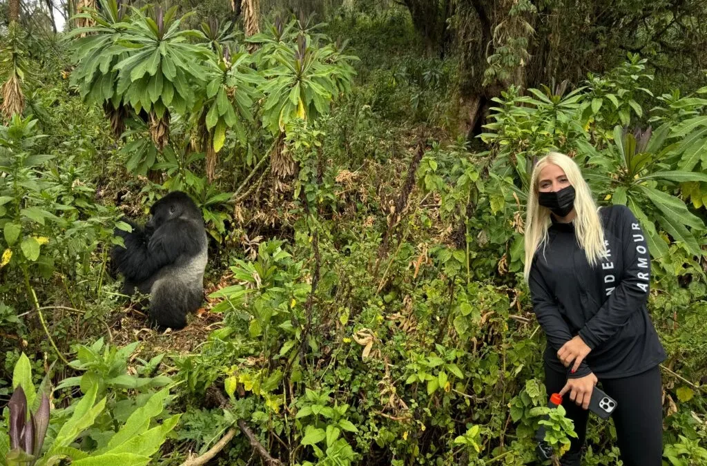 Driver-guided car rental to Volcanoes National Park
