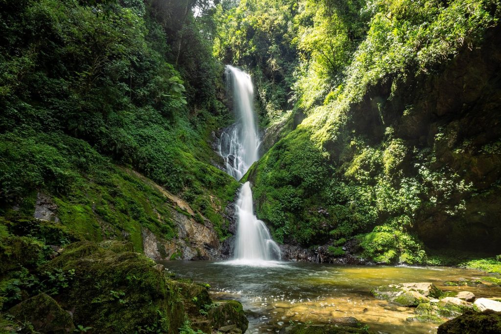 Best car rental company for Nyungwe National Park tours