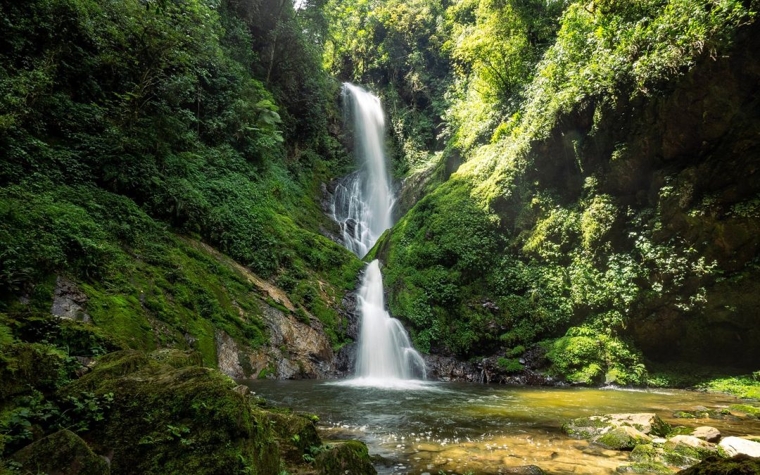 Best car rental company for Nyungwe National Park tours