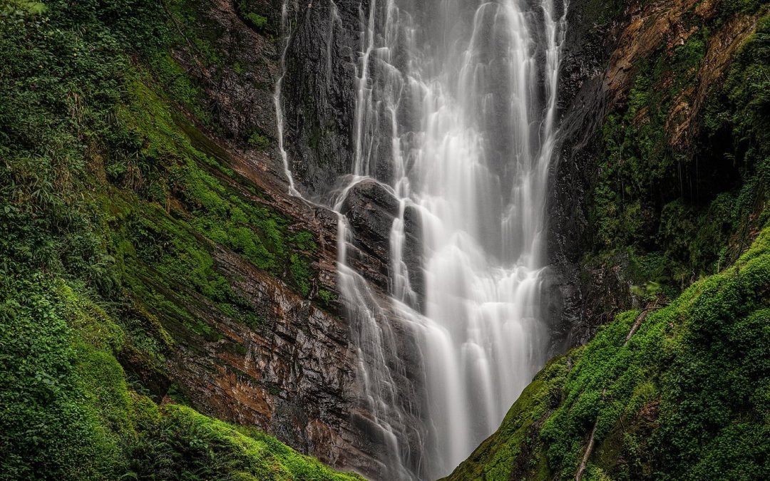 Private car hire to Nyungwe National Park from Kigali Airport