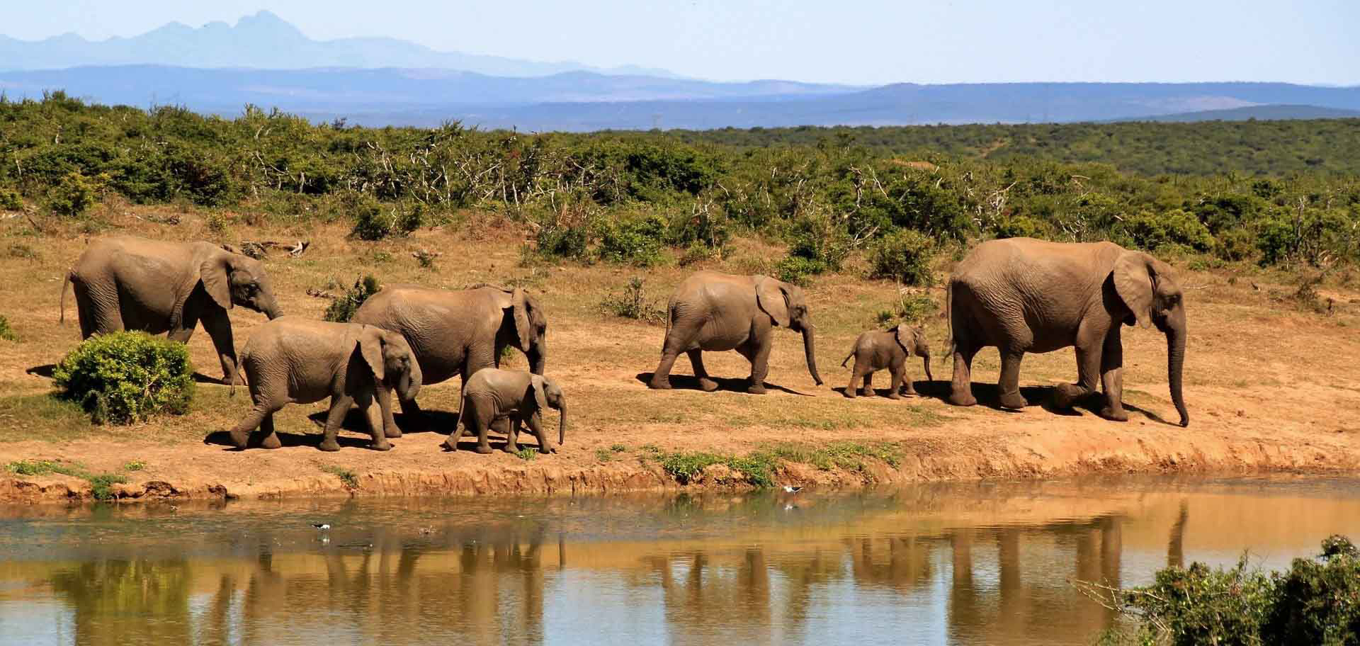 Self-drive safari car hire Rwanda