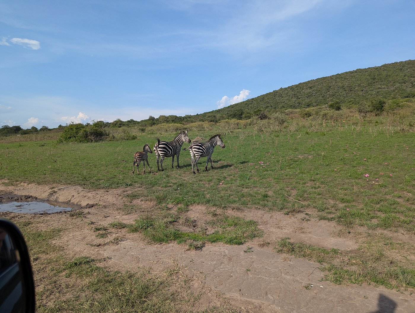 budget 4x4 car hire to Uganda