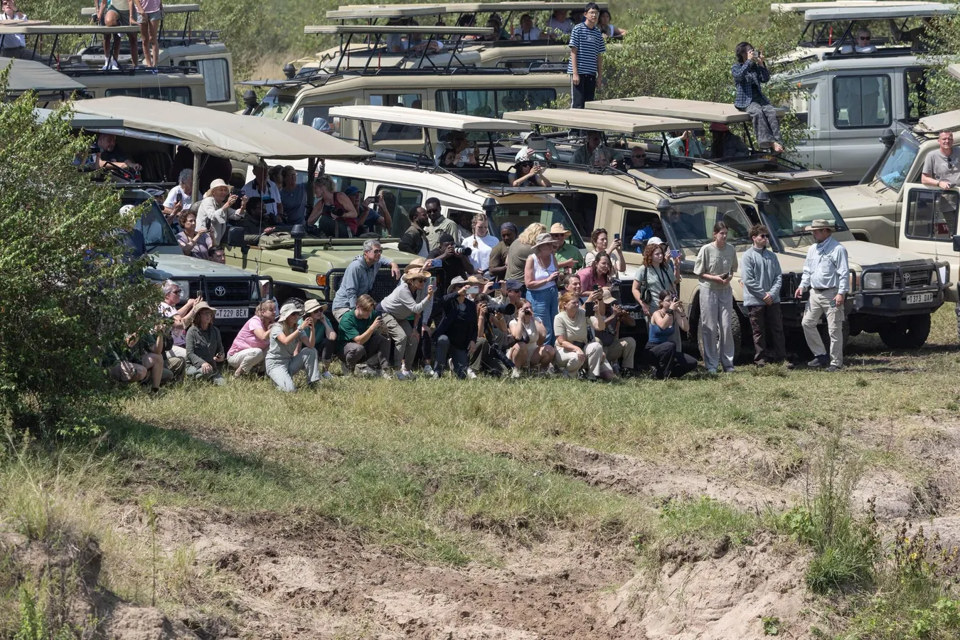 Self-drive car hire for Uganda safari
