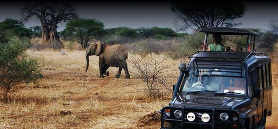 Land Cruiser rental for gorilla trekking in Rwanda and Uganda