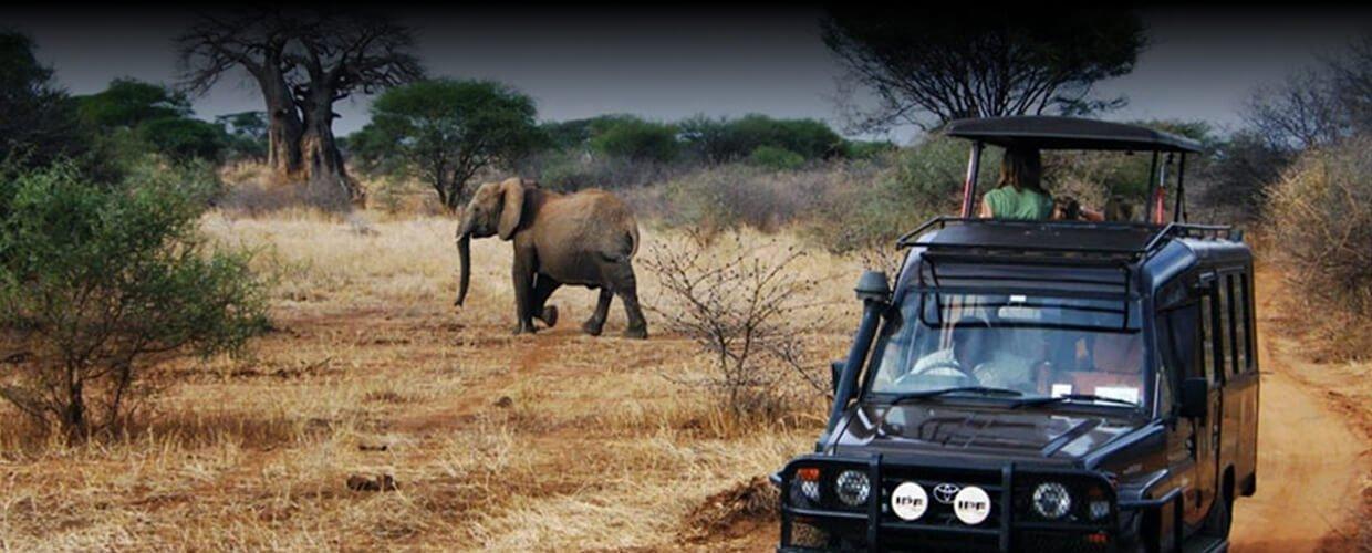 Kenya camping car hire with roof-top tent